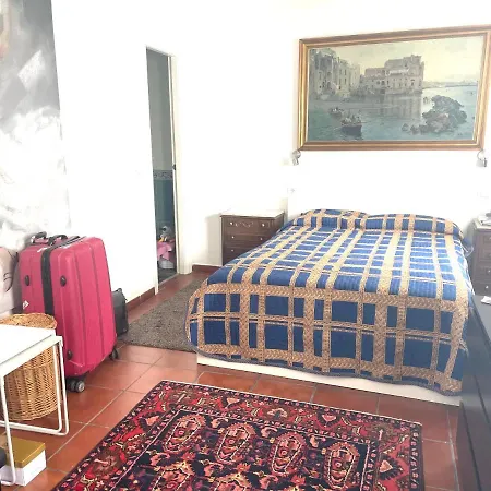 Cozy In The Center Of Appartement